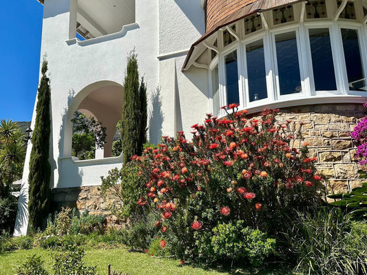 Abbey Manor Oranjezicht Cape Town Western Cape South Africa House, Building, Architecture, Garden, Nature, Plant