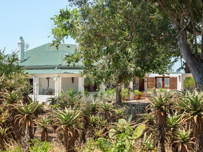 Abbotts Hill Malmesbury Western Cape South Africa House, Building, Architecture, Palm Tree, Plant, Nature, Wood