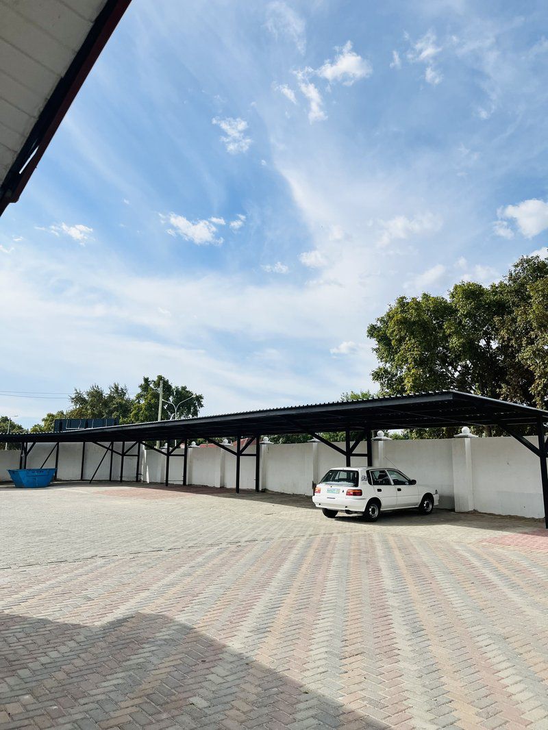 Abecor Hotel Dagbreek Welkom Free State South Africa Palm Tree, Plant, Nature, Wood, Car, Vehicle