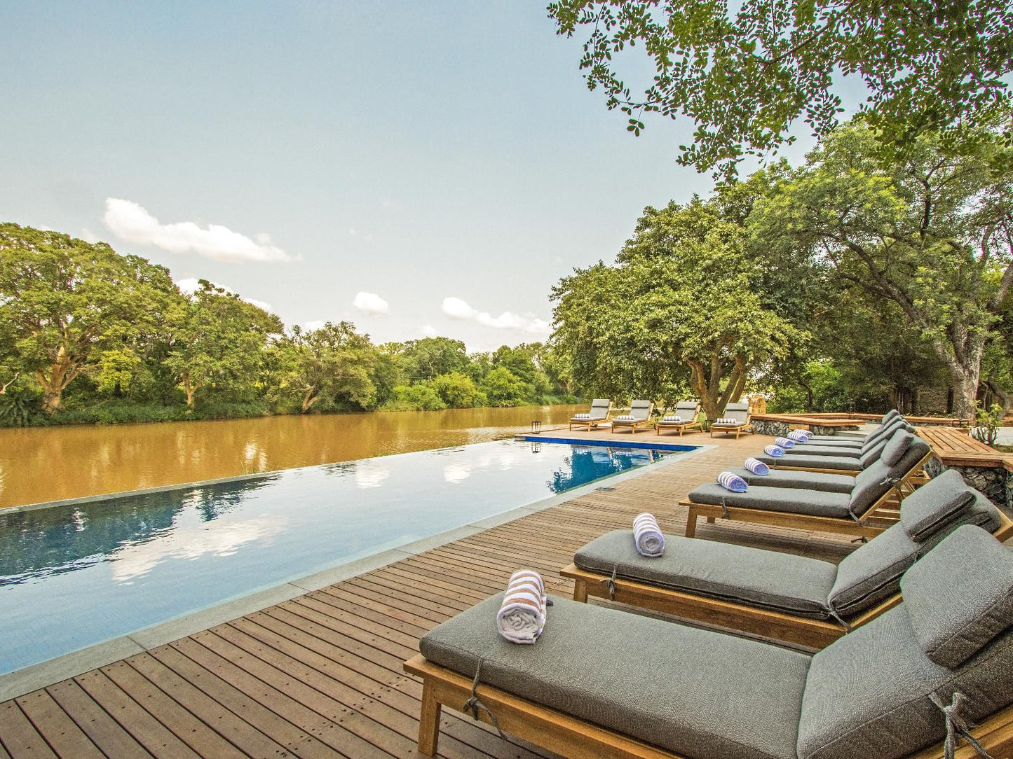 Abelana Game Reserve Phalaborwa Limpopo Province South Africa Swimming Pool