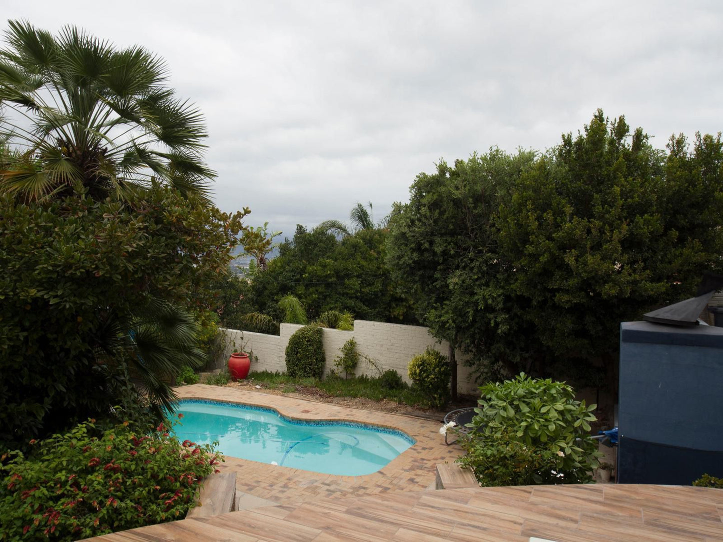 Abelia Guest House Heldervue Somerset West Western Cape South Africa Palm Tree, Plant, Nature, Wood, Garden, Swimming Pool
