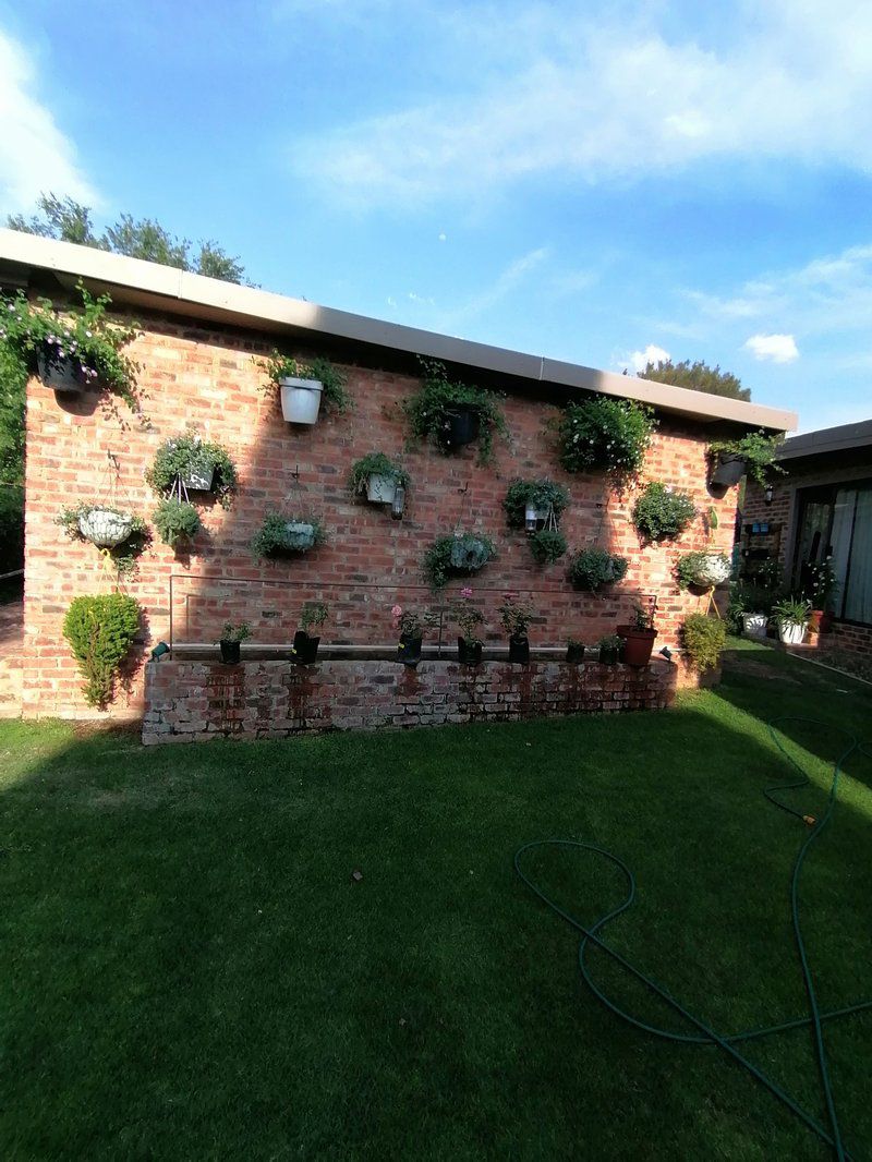 Abelia Guestrooms Parys Free State South Africa Wall, Architecture, Brick Texture, Texture, Garden, Nature, Plant