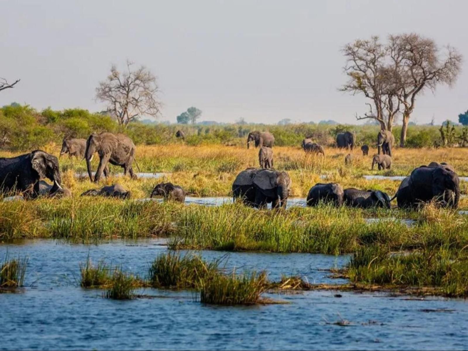 Abenab Lodge & Tours Cc, Animal, Lowland, Nature