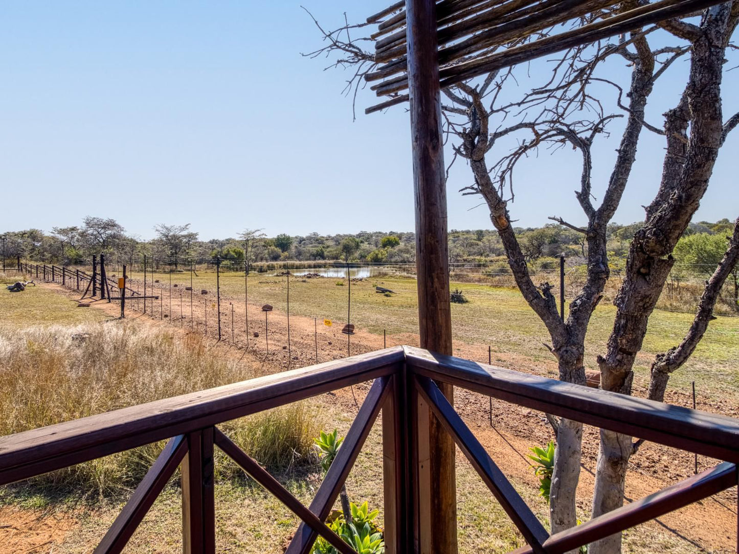 Abendruhe Lodge Dinokeng Gauteng South Africa Complementary Colors, Lowland, Nature