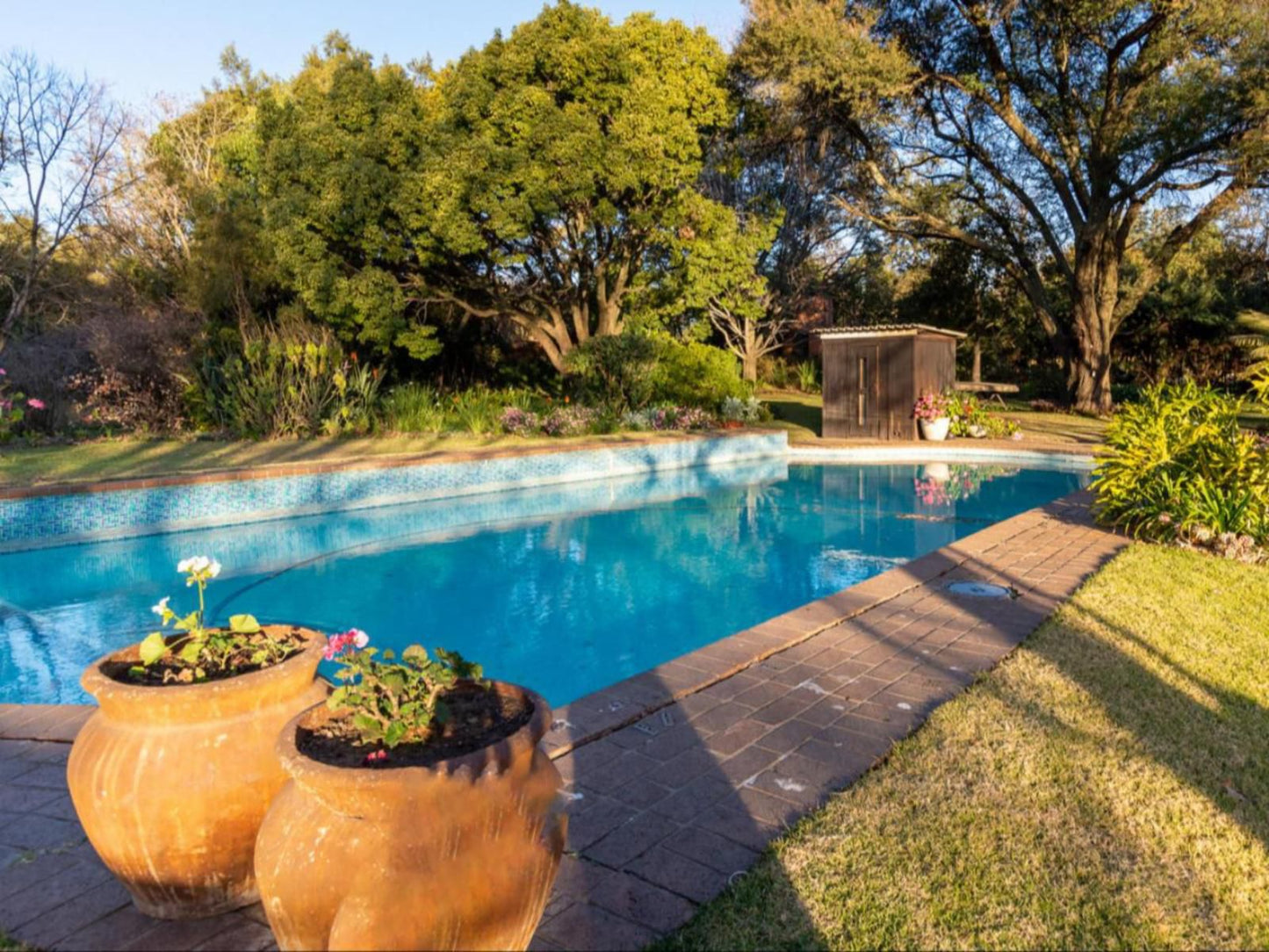 Aberfeldy Bed And Breakfast Glen Austin Johannesburg Gauteng South Africa Complementary Colors, Garden, Nature, Plant, Swimming Pool