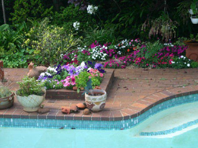 Abigail S Bed And Breakfast Parkview Johannesburg Gauteng South Africa Plant, Nature, Garden, Swimming Pool