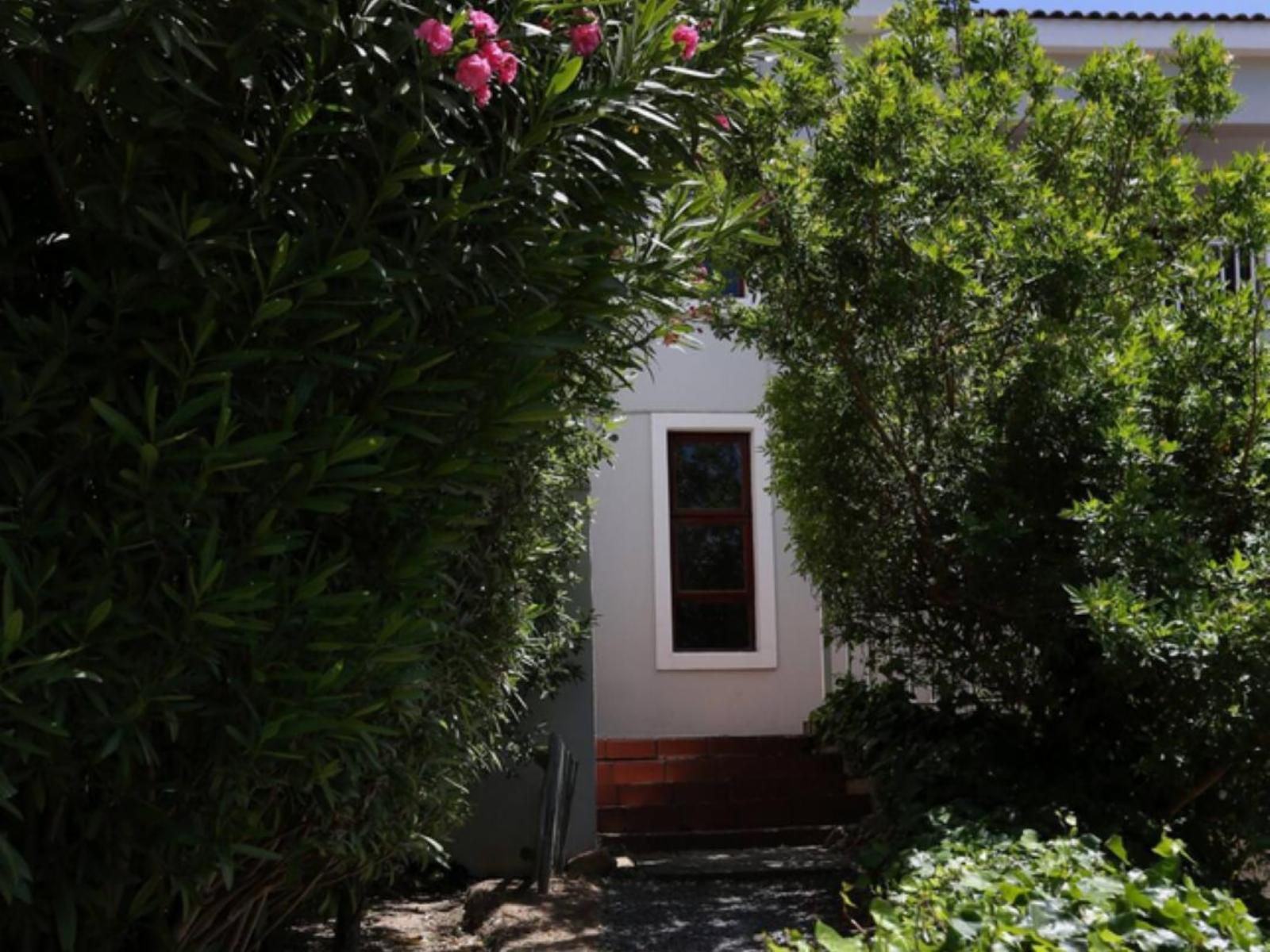 Above & Beyond Houtbay, House, Building, Architecture, Plant, Nature, Garden