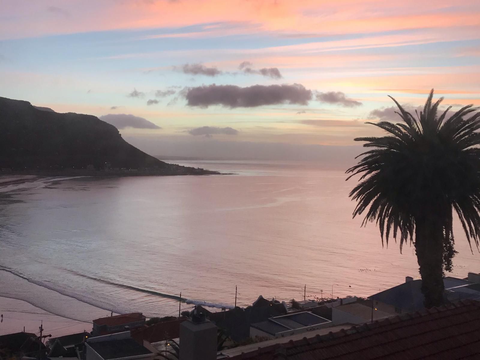 Above The Sea Fish Hoek Cape Town Western Cape South Africa Beach, Nature, Sand, Palm Tree, Plant, Wood, Sunset, Sky