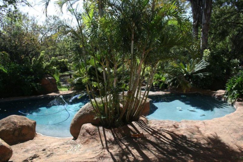 Absa Conference Centre Montana Park Pretoria Tshwane Gauteng South Africa Palm Tree, Plant, Nature, Wood, Garden, Swimming Pool
