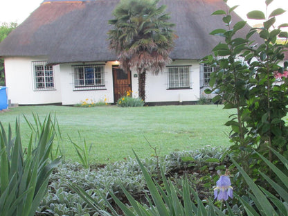 Absolute Leisure Cottages Machadodorp Mpumalanga South Africa House, Building, Architecture, Palm Tree, Plant, Nature, Wood, Garden