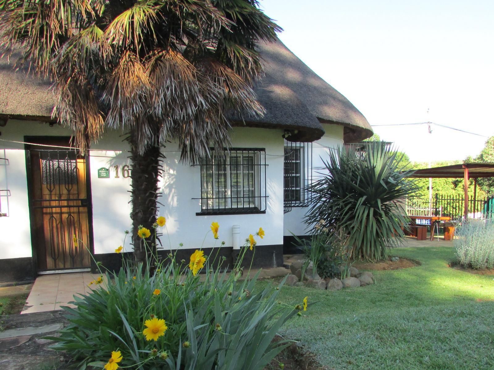 Absolute Leisure Cottages Machadodorp Mpumalanga South Africa House, Building, Architecture, Palm Tree, Plant, Nature, Wood