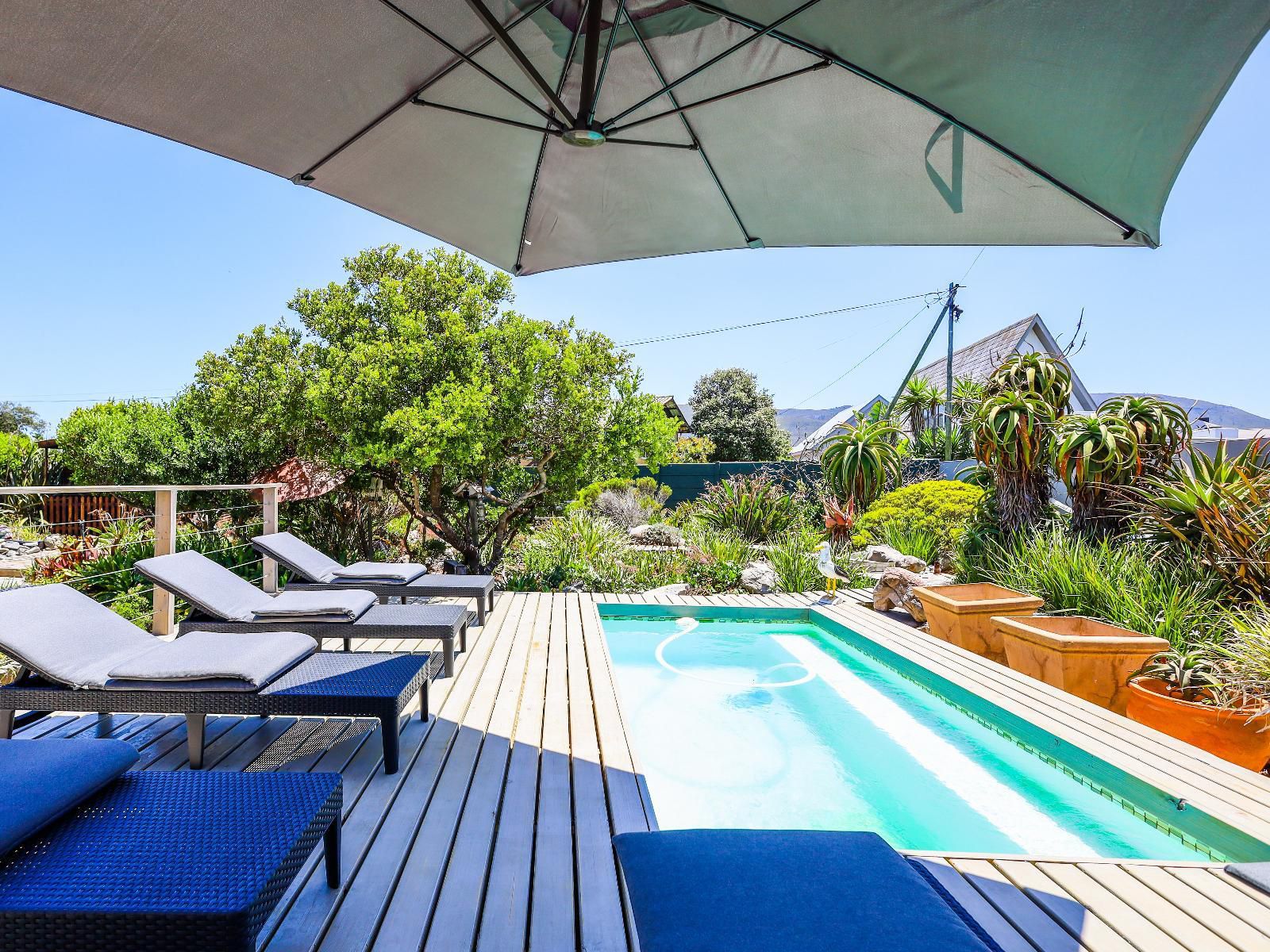 Absolute Ocean Boutique Guesthouse, House, Building, Architecture, Palm Tree, Plant, Nature, Wood, Garden, Swimming Pool