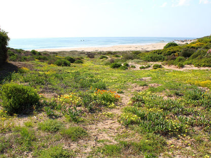 Absolute Beach Britannia Bay Western Cape South Africa Beach, Nature, Sand