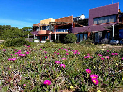 Absolute Beach Britannia Bay Western Cape South Africa Complementary Colors, House, Building, Architecture, Plant, Nature