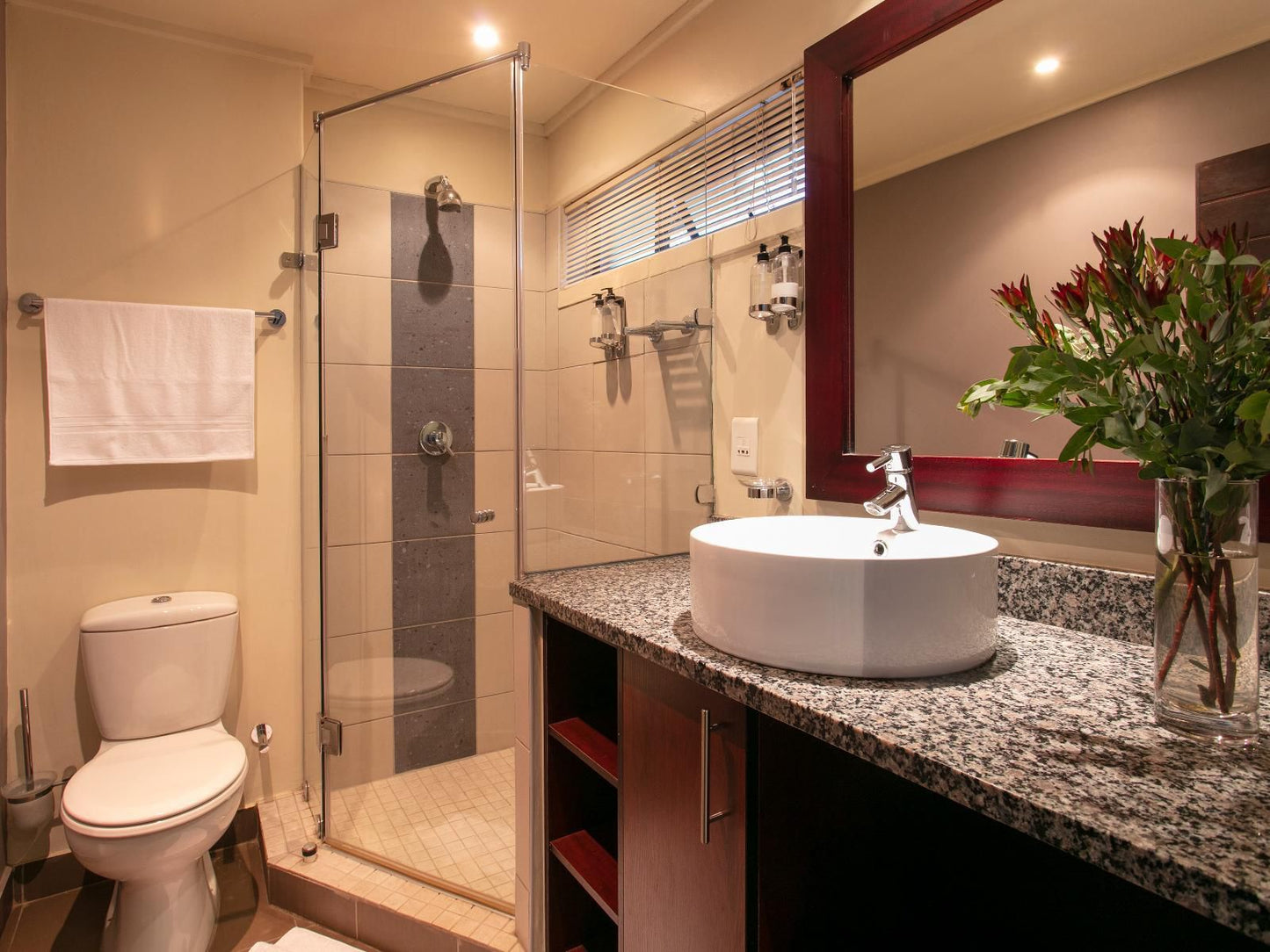 Absolute Farenden Arcadia Pretoria Tshwane Gauteng South Africa Bathroom