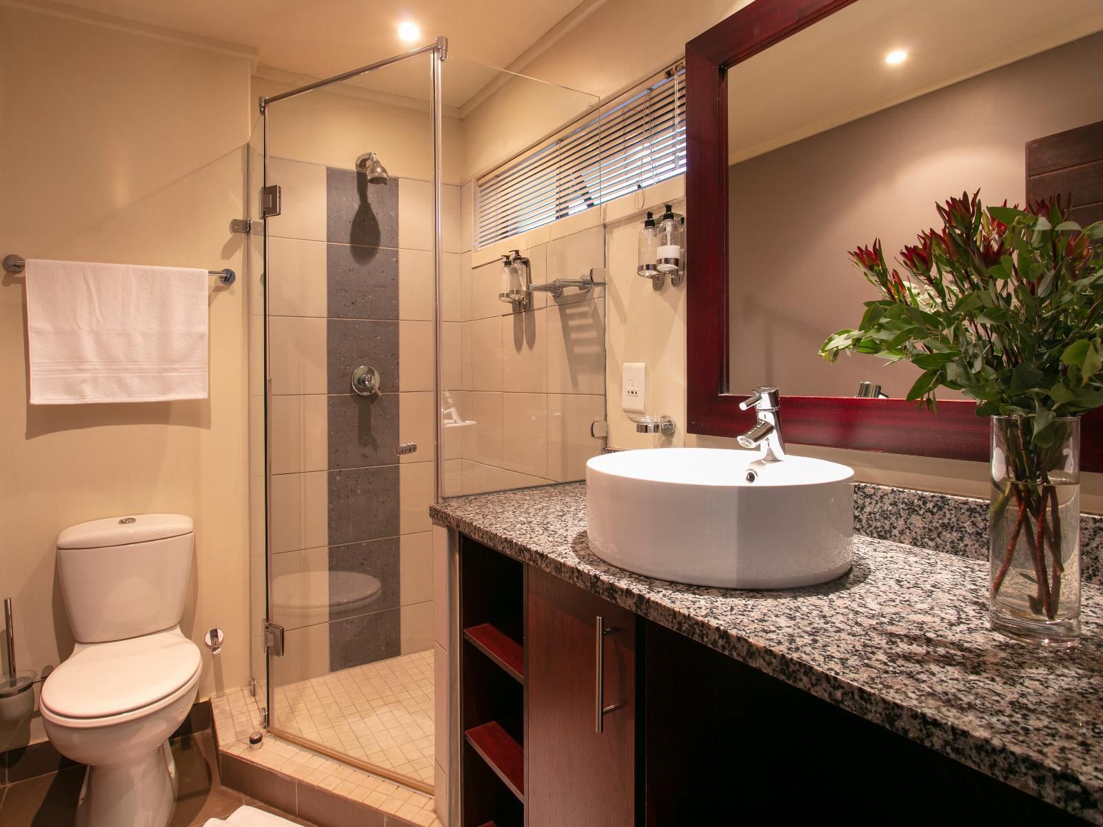 Absolute Farenden Arcadia Pretoria Tshwane Gauteng South Africa Bathroom