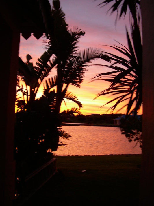 Abundance Aston Bay Jeffreys Bay Eastern Cape South Africa Colorful, Beach, Nature, Sand, Palm Tree, Plant, Wood, Framing, Sunset, Sky