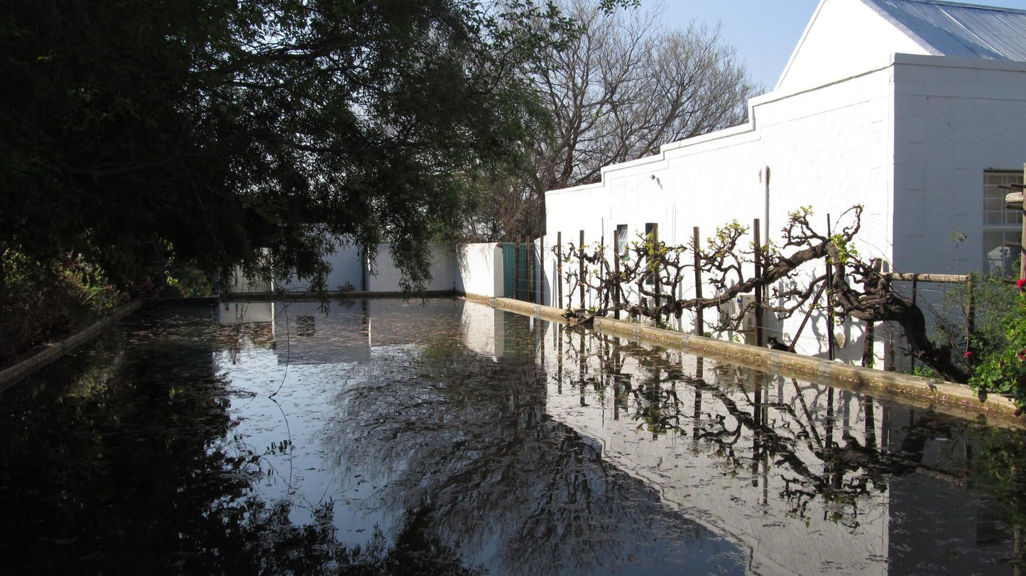 Acacia Cottage Prince Albert Western Cape South Africa Unsaturated, River, Nature, Waters