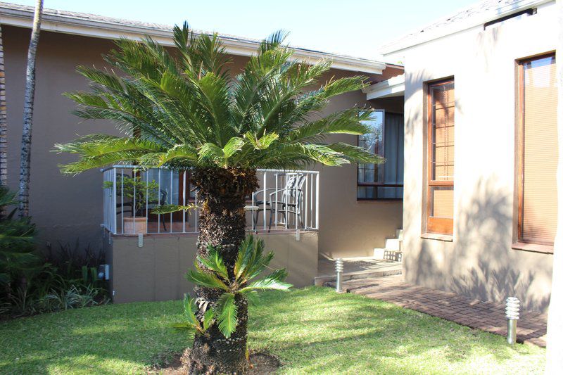 Acacia Guesthouse Sonheuwel Nelspruit Mpumalanga South Africa House, Building, Architecture, Palm Tree, Plant, Nature, Wood, Living Room