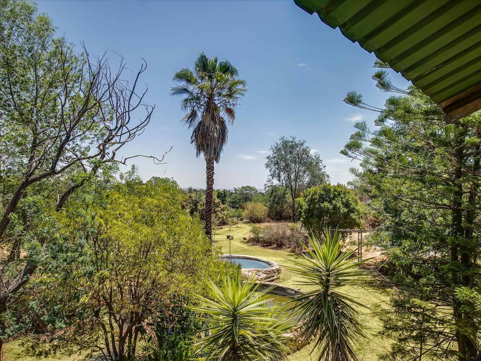 Acacia Rock President Park Johannesburg Gauteng South Africa Complementary Colors, Palm Tree, Plant, Nature, Wood, Garden