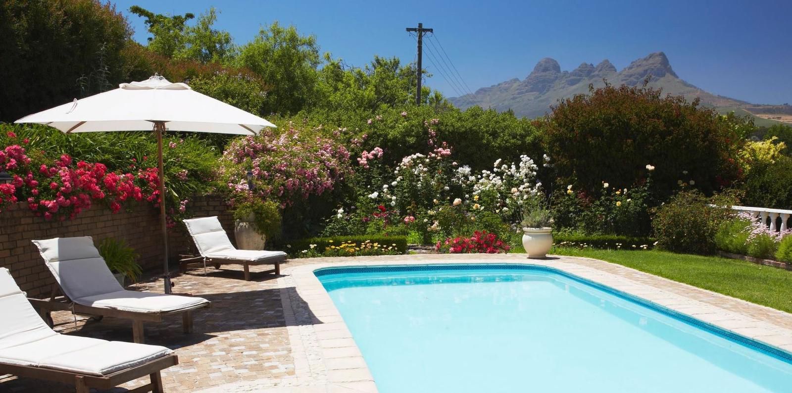 Acara Stellenbosch Western Cape South Africa Complementary Colors, Garden, Nature, Plant, Swimming Pool