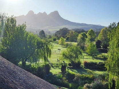 Acara Stellenbosch Western Cape South Africa 