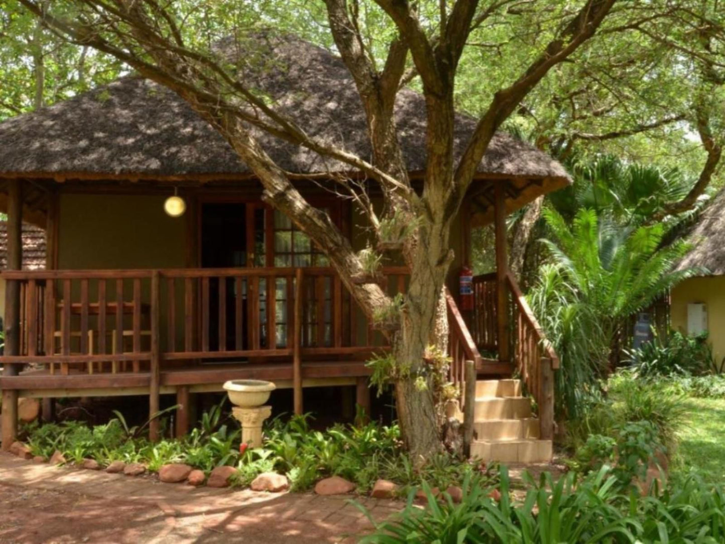 Acasia Guest Lodge Komatipoort Mpumalanga South Africa Plant, Nature