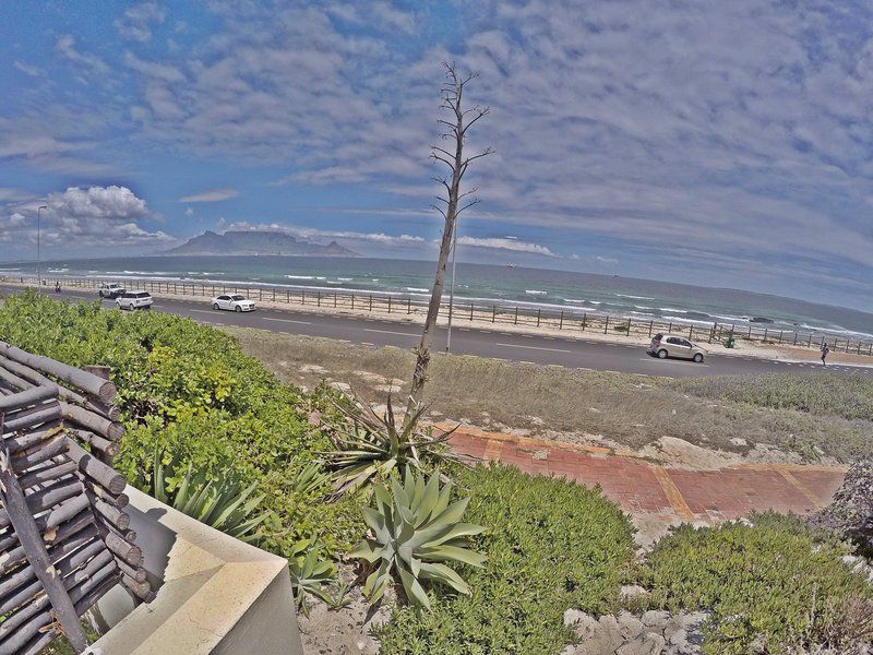 No 8 On Helena Bloubergstrand Blouberg Western Cape South Africa Complementary Colors, Beach, Nature, Sand, Palm Tree, Plant, Wood