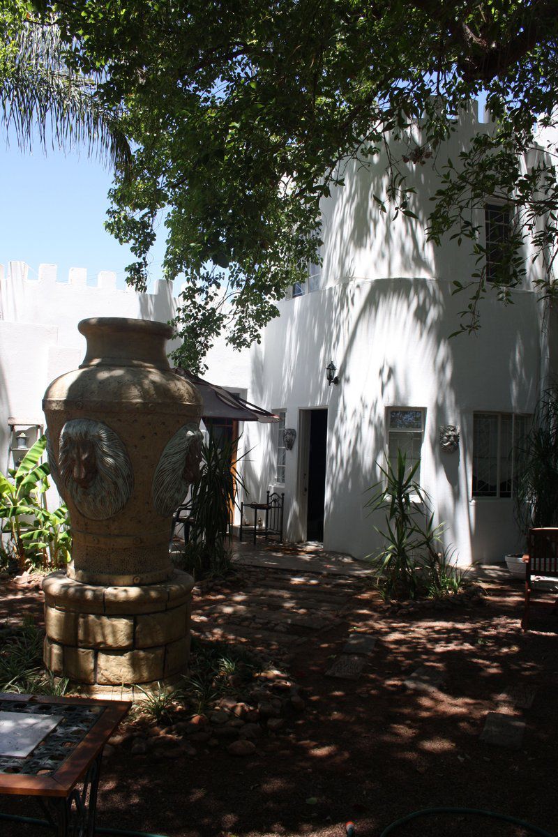 A Chateaux De Lux Upington Northern Cape South Africa Palm Tree, Plant, Nature, Wood