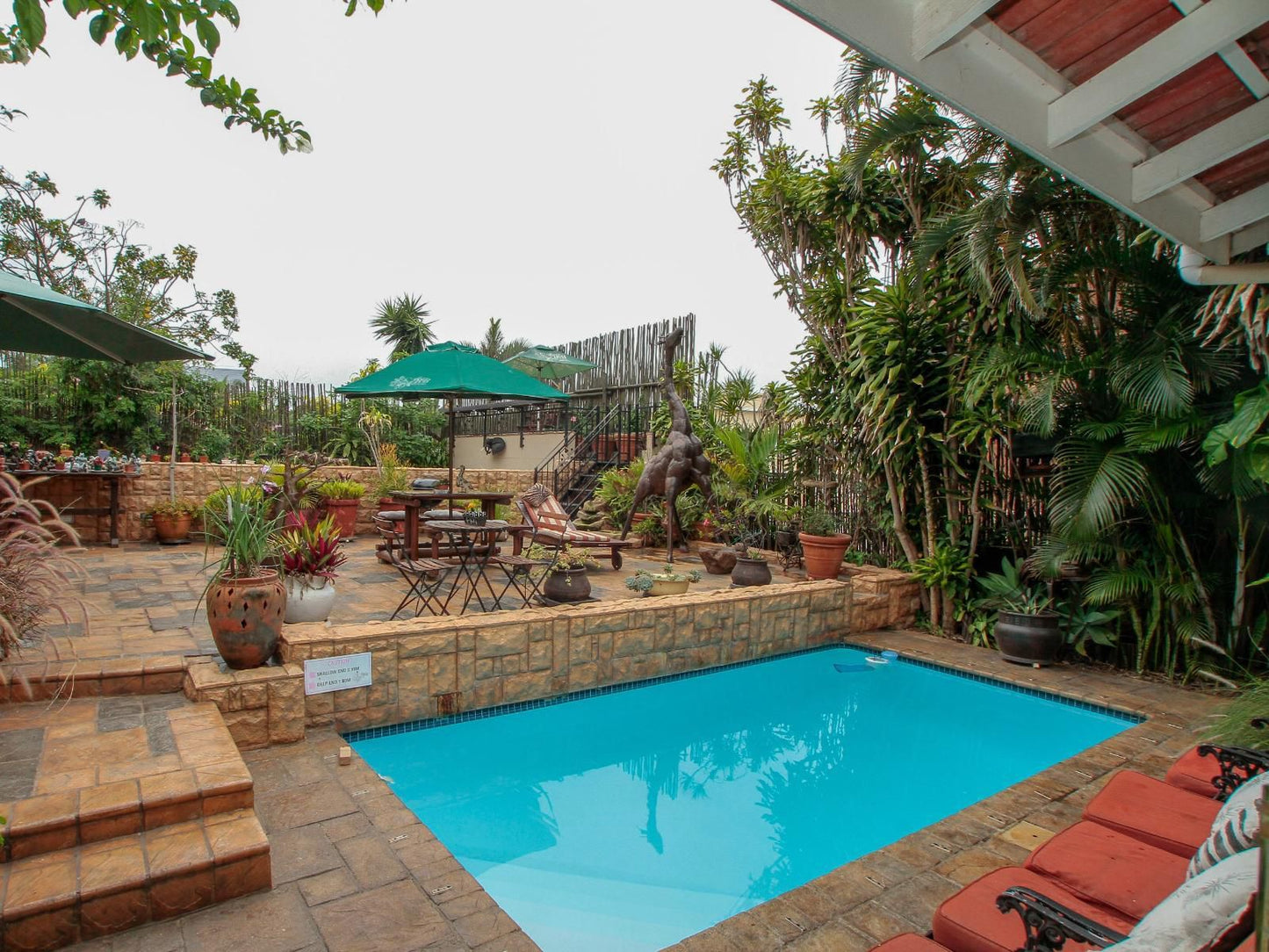 Acorn Bandb In Durban Essenwood Durban Kwazulu Natal South Africa Palm Tree, Plant, Nature, Wood, Garden, Swimming Pool