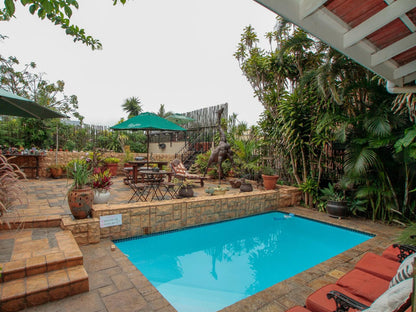 Acorn Bandb In Durban Essenwood Durban Kwazulu Natal South Africa Palm Tree, Plant, Nature, Wood, Garden, Swimming Pool