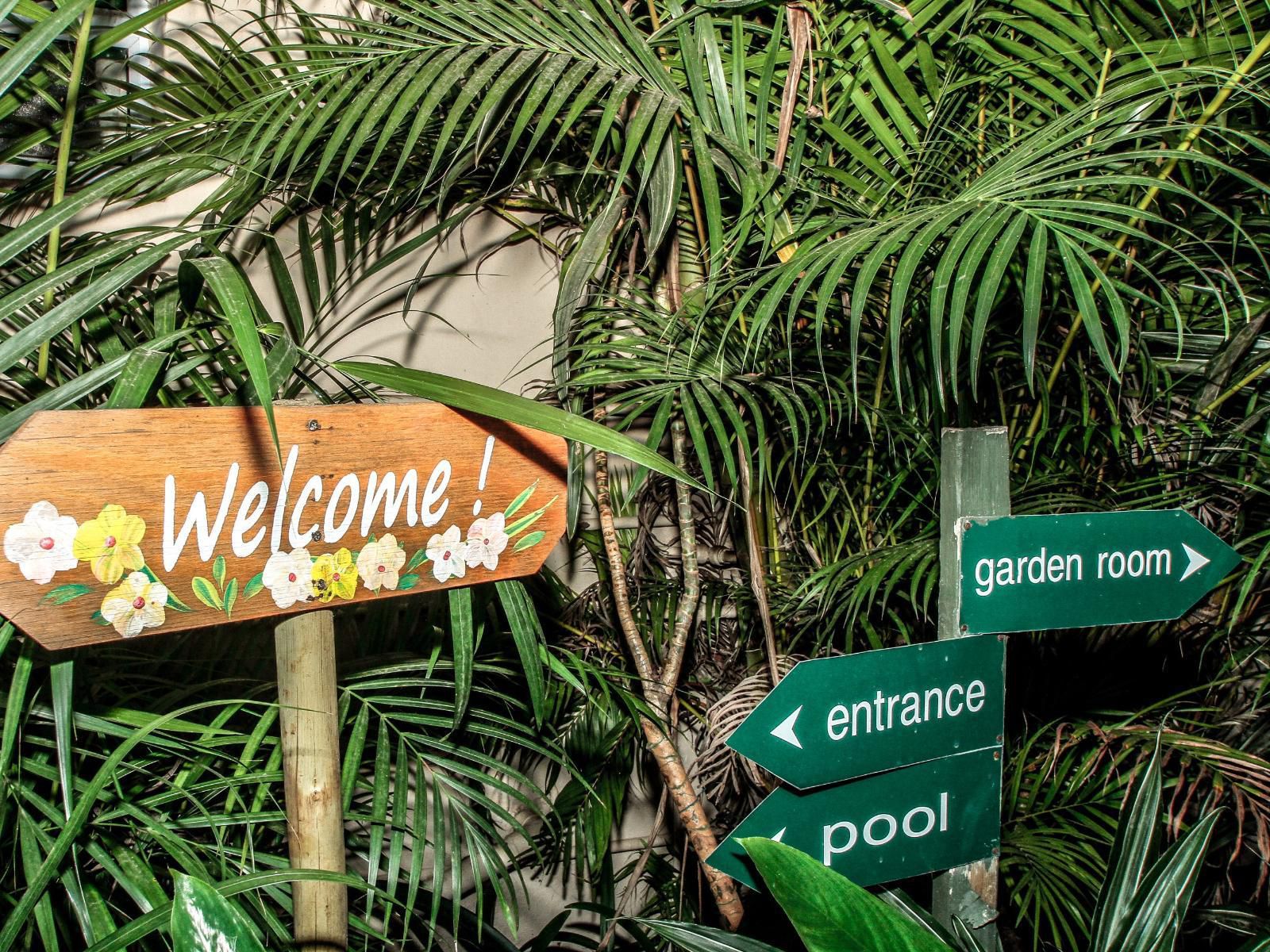 Acorn Bandb In Durban Essenwood Durban Kwazulu Natal South Africa Palm Tree, Plant, Nature, Wood, Sign, Garden