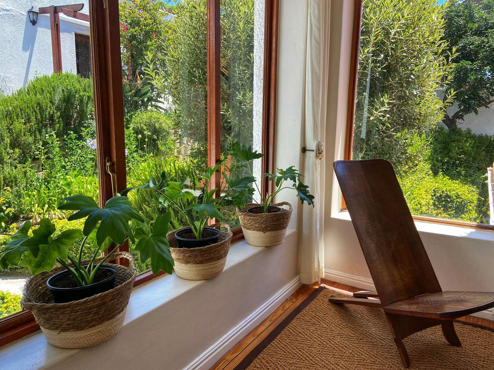 Acorn House, Garden, Nature, Plant