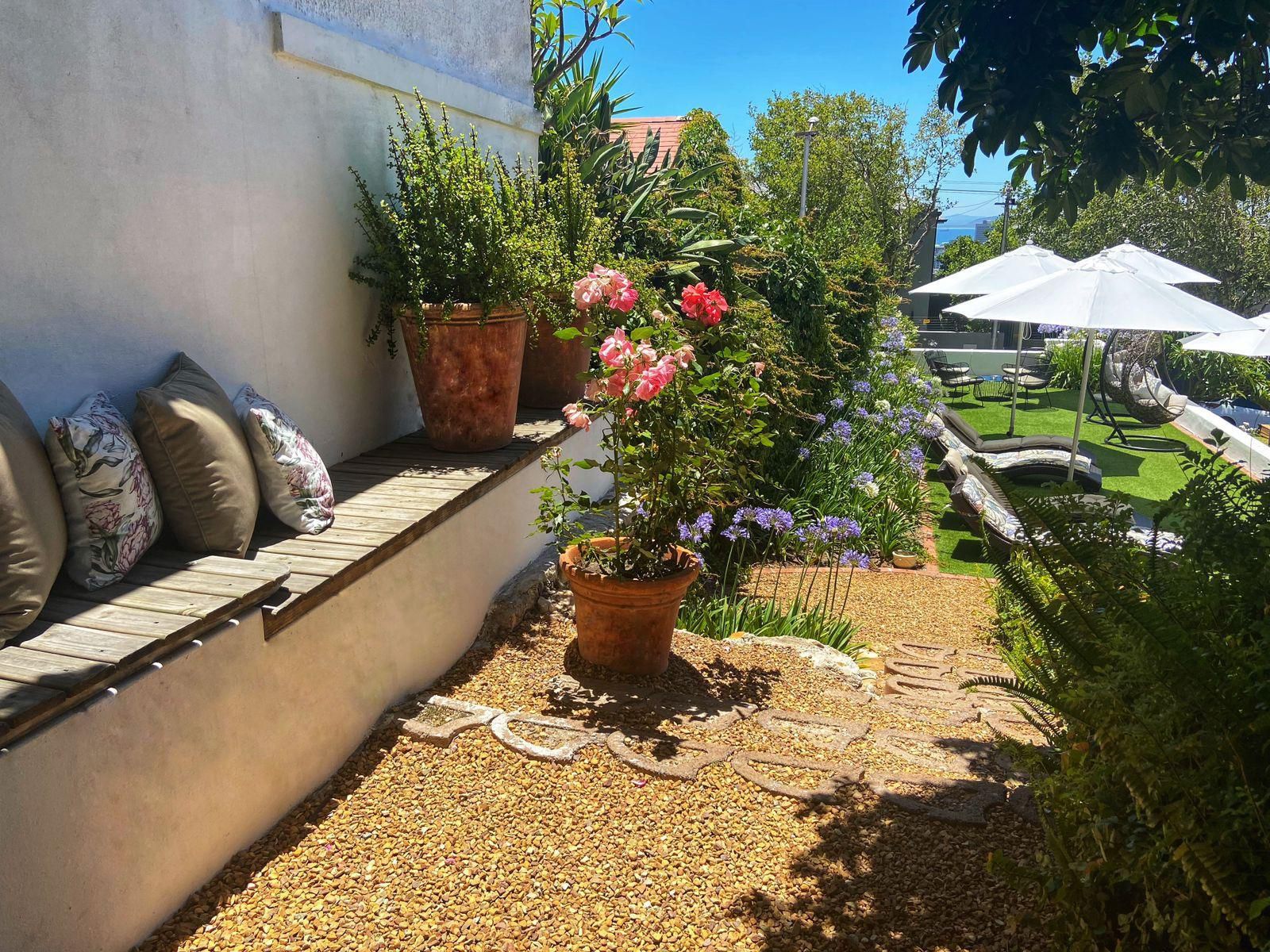 Acorn House, Plant, Nature, Garden