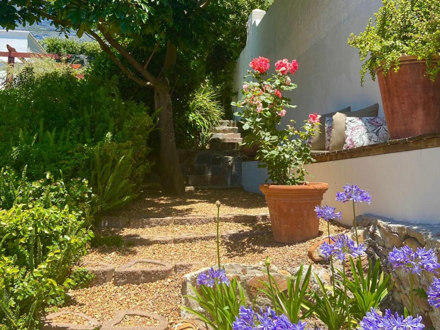 Acorn House, Plant, Nature, Garden