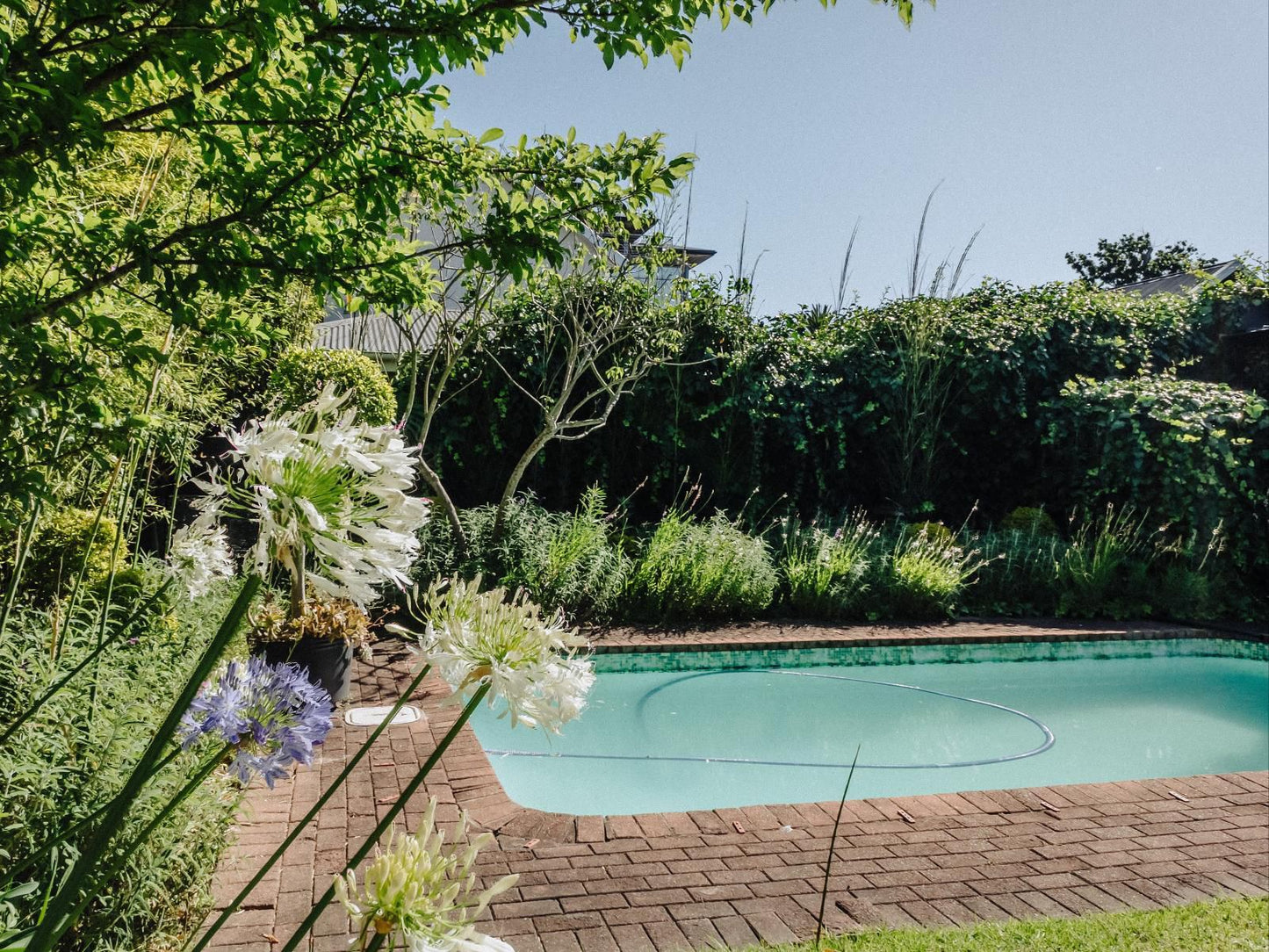 Acorn Guest House Bo Dorp George Western Cape South Africa Complementary Colors, Plant, Nature, Garden, Swimming Pool