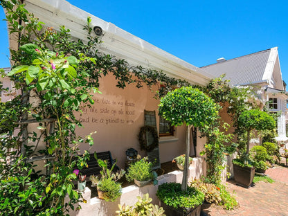 Acorn Guest House Bo Dorp George Western Cape South Africa Complementary Colors, House, Building, Architecture, Garden, Nature, Plant