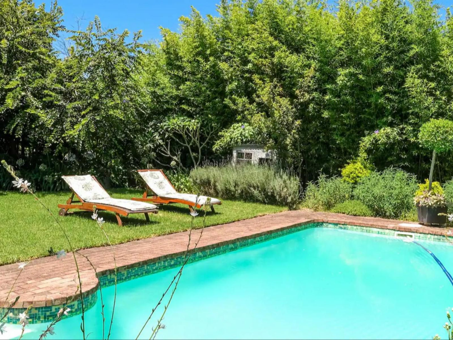 Acorn Guest House Bo Dorp George Western Cape South Africa Garden, Nature, Plant, Swimming Pool