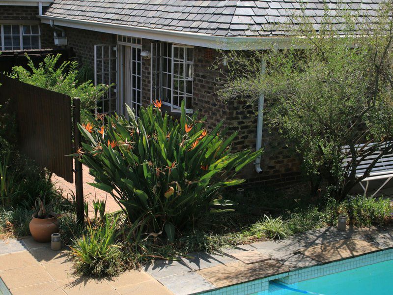 Acorns On 8Th Parktown North Johannesburg Gauteng South Africa House, Building, Architecture, Garden, Nature, Plant