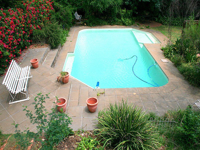 Acorns On 8Th Parktown North Johannesburg Gauteng South Africa Complementary Colors, Garden, Nature, Plant, Swimming Pool