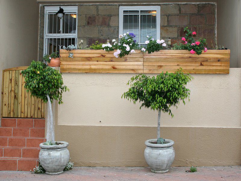 A Cross Court Mossel Bay Western Cape South Africa House, Building, Architecture, Garden, Nature, Plant