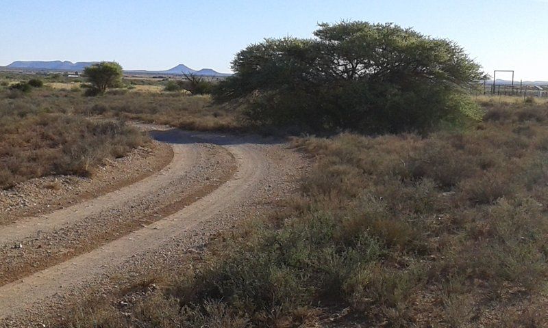 Adam Se Uitspanning Orania Northern Cape South Africa Cactus, Plant, Nature, Desert, Sand, Lowland, Street