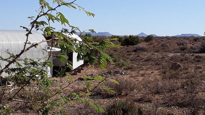 Adam Se Uitspanning Orania Northern Cape South Africa Cactus, Plant, Nature, Desert, Sand, Garden