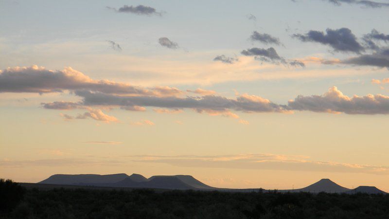 Adam Se Uitspanning Orania Northern Cape South Africa Cactus, Plant, Nature, Sky, Clouds, Desert, Sand