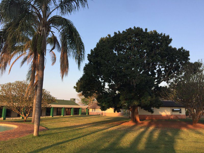 Adams Apple Hotel Makhado Louis Trichardt Limpopo Province South Africa Complementary Colors, Palm Tree, Plant, Nature, Wood