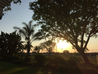 Adams Apple Hotel Makhado Louis Trichardt Limpopo Province South Africa Palm Tree, Plant, Nature, Wood, Sky, Sunset