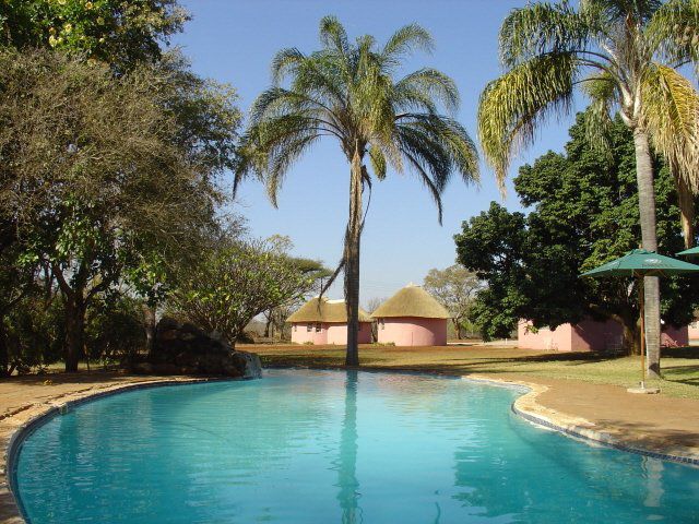 Adams Apple Hotel Makhado Louis Trichardt Limpopo Province South Africa Complementary Colors, Palm Tree, Plant, Nature, Wood, Swimming Pool
