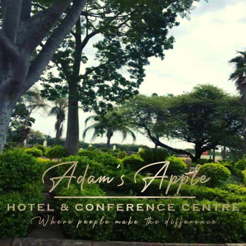Adams Apple Hotel Makhado Louis Trichardt Limpopo Province South Africa Palm Tree, Plant, Nature, Wood