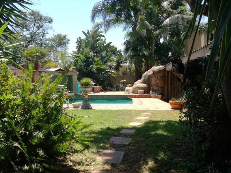 Adams Eden Guest House Willow Park Manor Pretoria Tshwane Gauteng South Africa Palm Tree, Plant, Nature, Wood, Garden, Swimming Pool