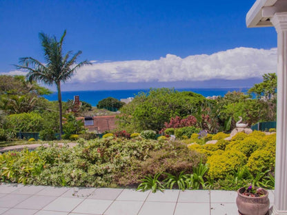 Addis Bandb Herrwood Park Umhlanga Kwazulu Natal South Africa Complementary Colors, Beach, Nature, Sand, Palm Tree, Plant, Wood, Garden